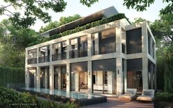 Whitley Road (D11), Terrace #479963711